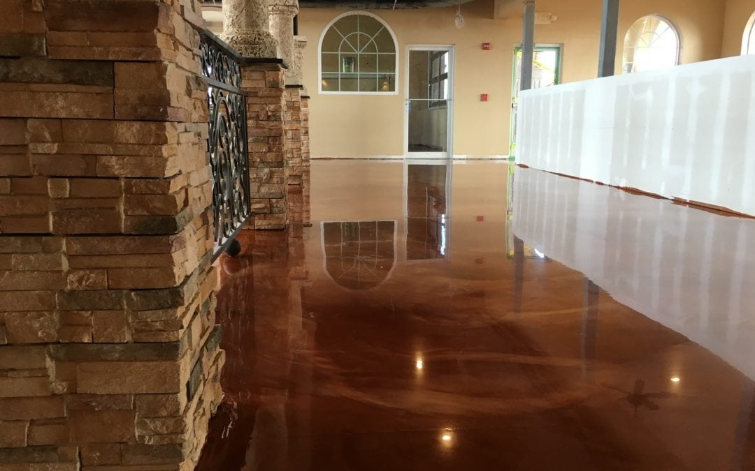 We Made a Concrete Fox & Concrete Planters